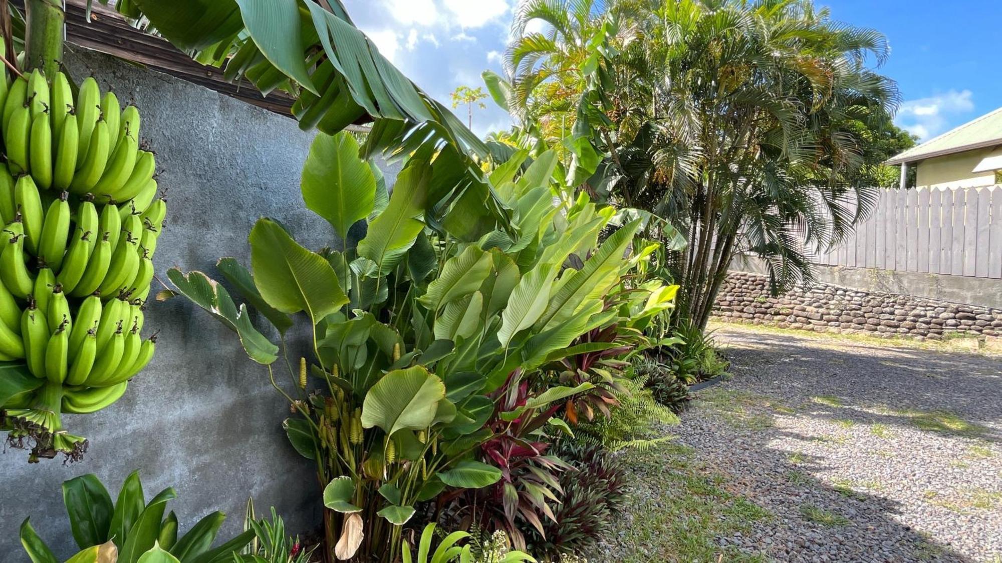 Ononui Lodge Airport, Ocean-View, Private Bathroom And Balcony, Free Wifi And Parking, On-Site Car Rental 帕皮提 外观 照片